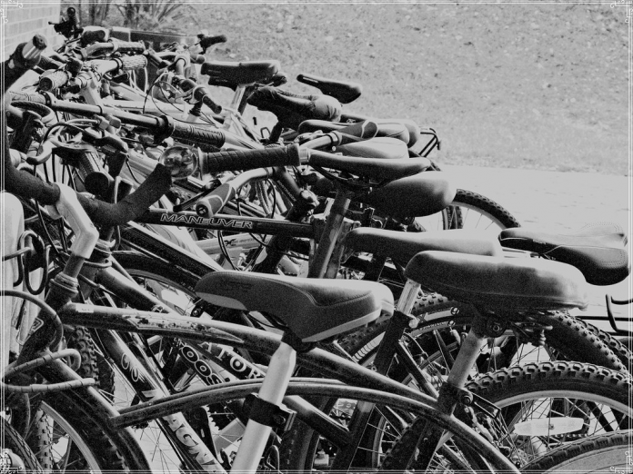 Servidores municipais de Praia Grande/SP, podem trocar vale-transporte por bicicleta em lojas conveniadas da cidade